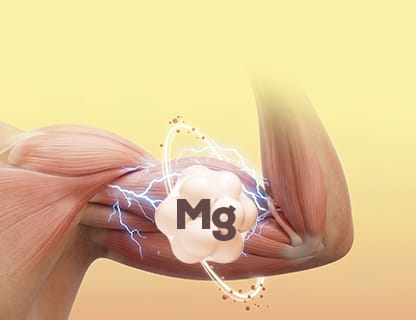 Organiczny bisglicynian magnezu