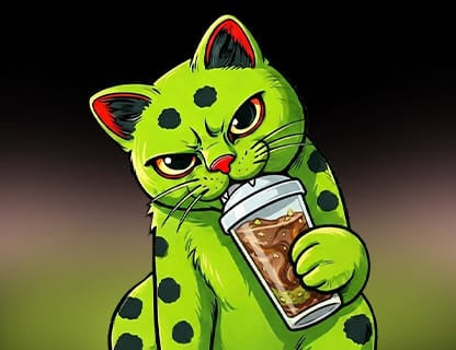 Matcha Kot