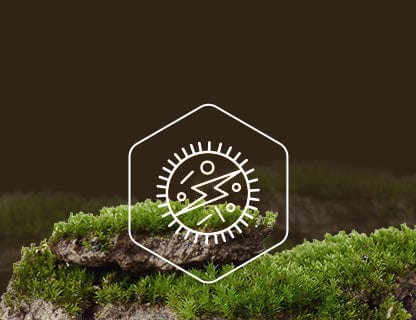 Nikotynamido-rybozyd chlorku, źródło energii dla komórek