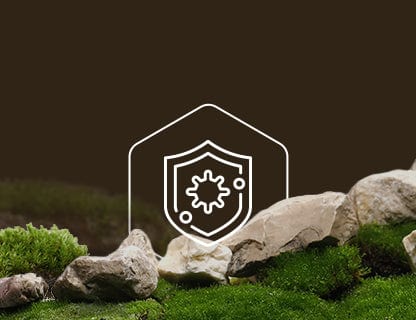 Selen, tarcza odpornościowa