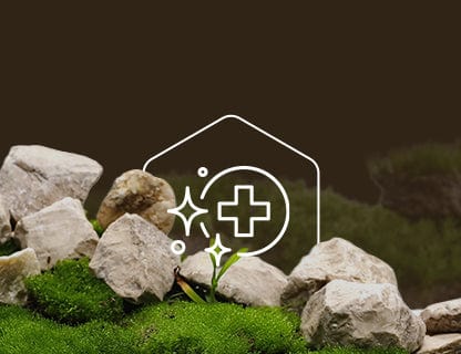 Trans-resweratrol, siła polifenoli