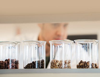 Szukasz harmonijnego składu